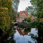 Herbstliche Spiegelung in der Ilmenau