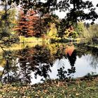 herbstliche Spiegelung_2