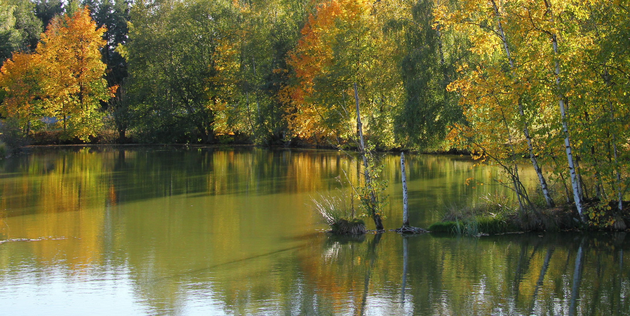 Herbstliche Spiegelungen