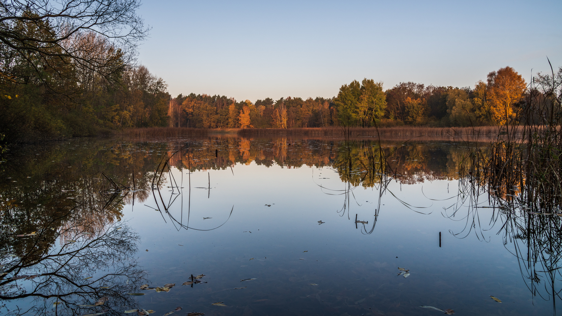 Herbstliche Spiegelungen