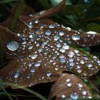 Herbstliche Spiegelungen