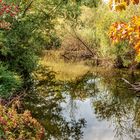 Herbstliche Spiegelungen