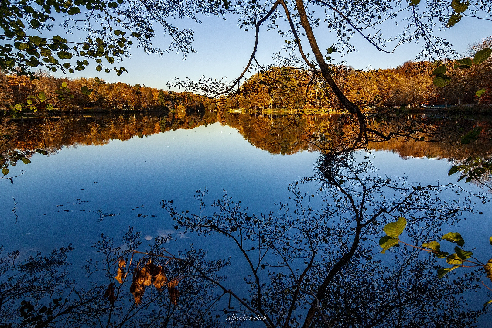  Herbstliche Spiegelungen.