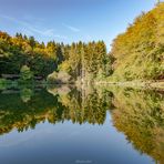 Herbstliche Spiegelungen 