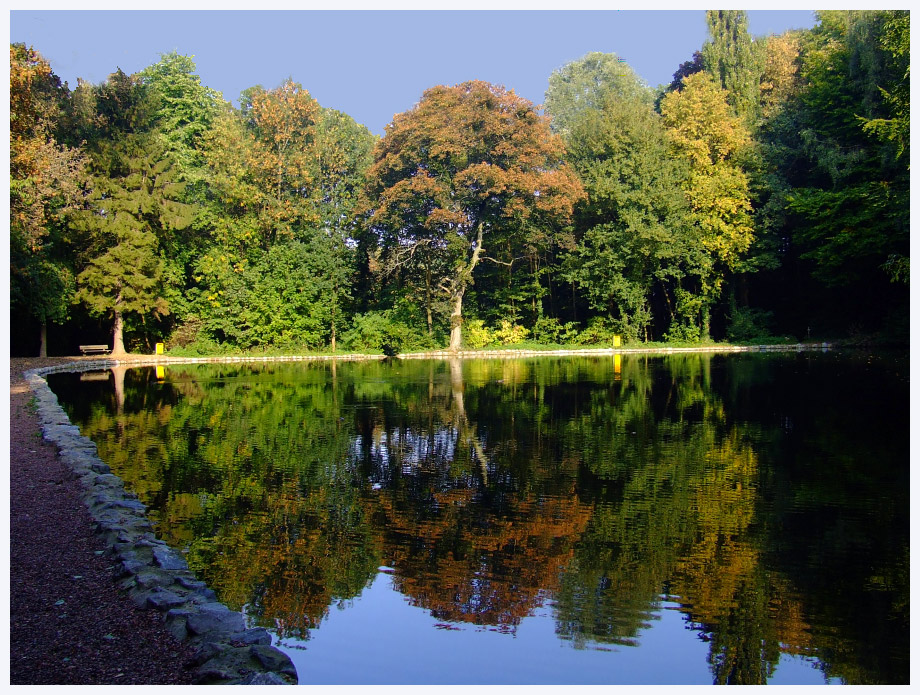 ~herbstliche Spiegelungen~