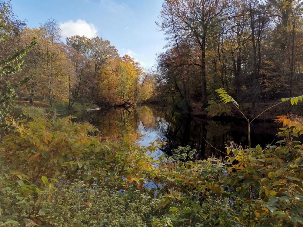 Herbstliche Spiegelungen