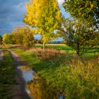 Herbstliche Spiegelungen