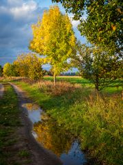 Herbstliche Spiegelungen