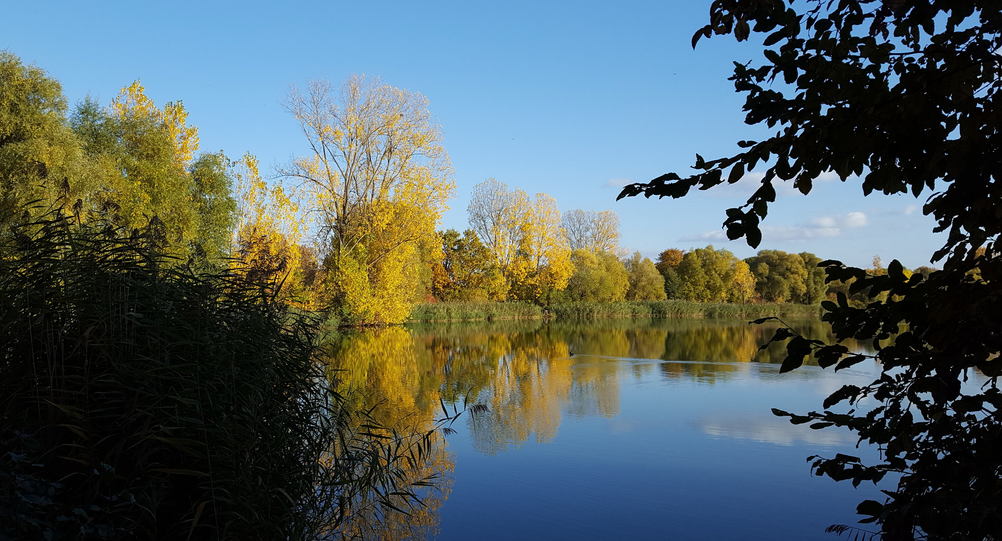 Herbstliche Spiegelungen im See