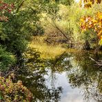 Herbstliche Spiegelungen in der Blies