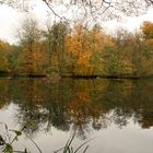 Herbstliche Spieglung im Teich