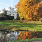 Herbstliche Spieglungen im Wörlitzer Park.