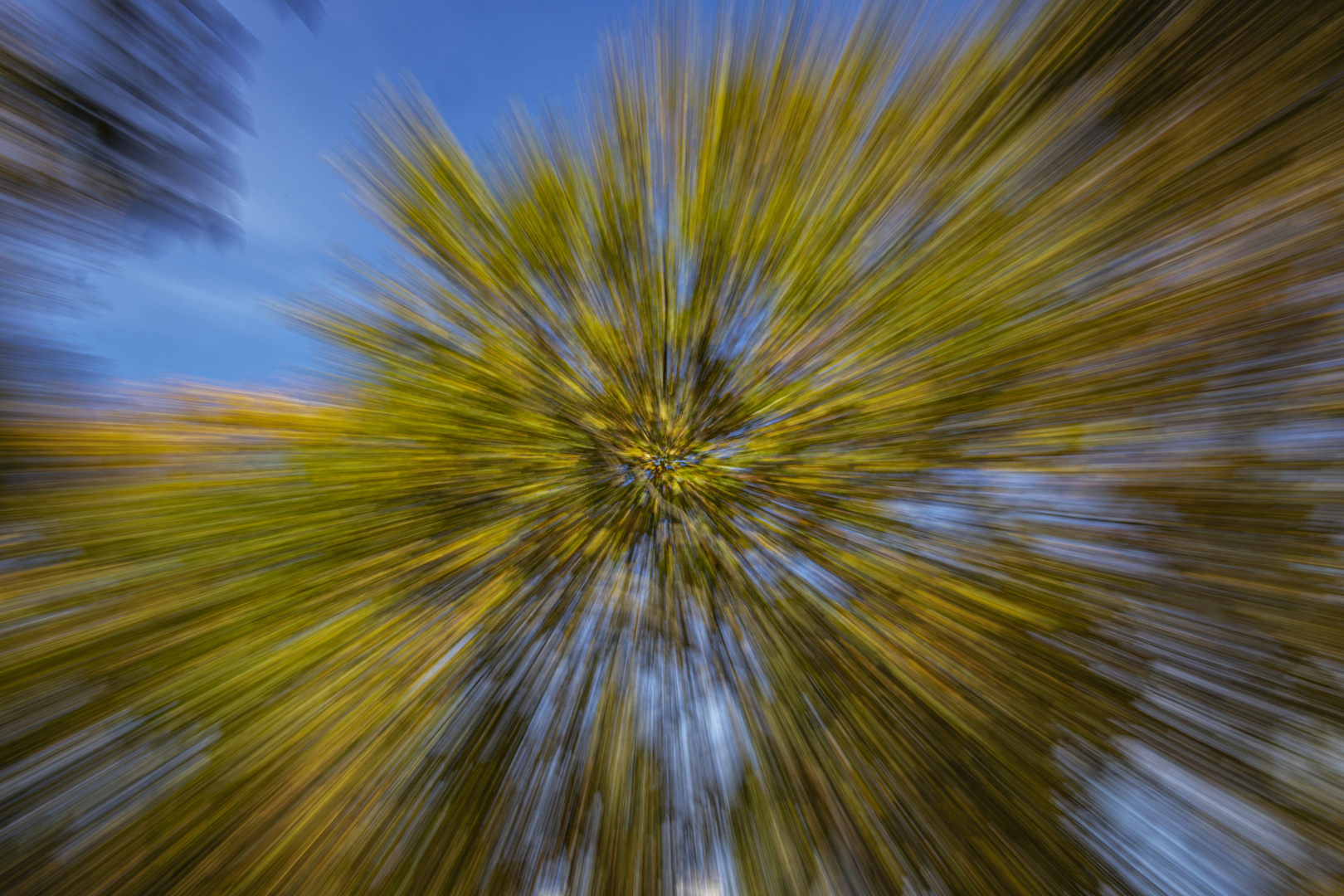 Herbstliche Spielerei