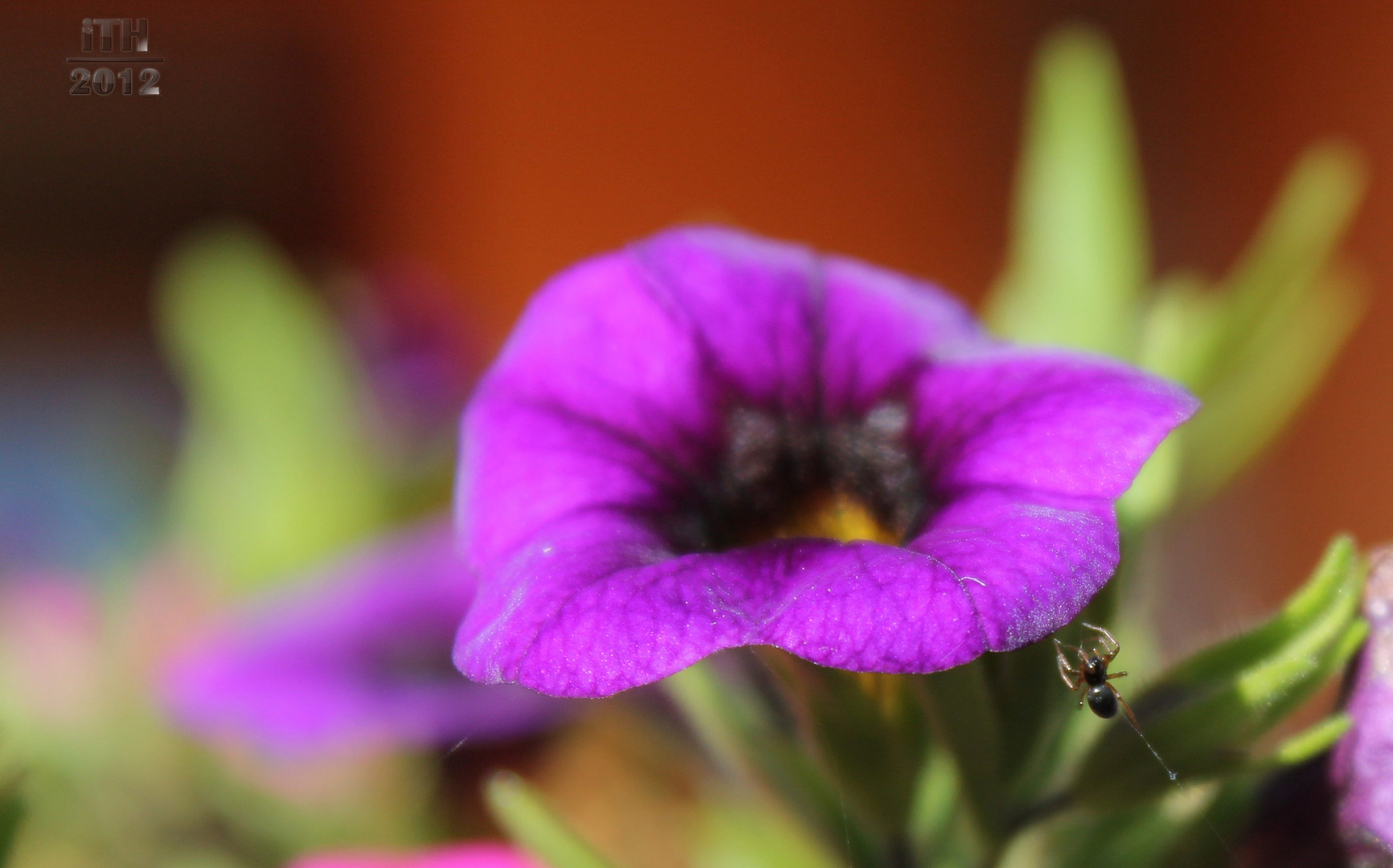 Herbstliche Spinnereien