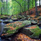 Herbstliche Spree3