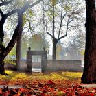 herbstliche Stadtlandschaft