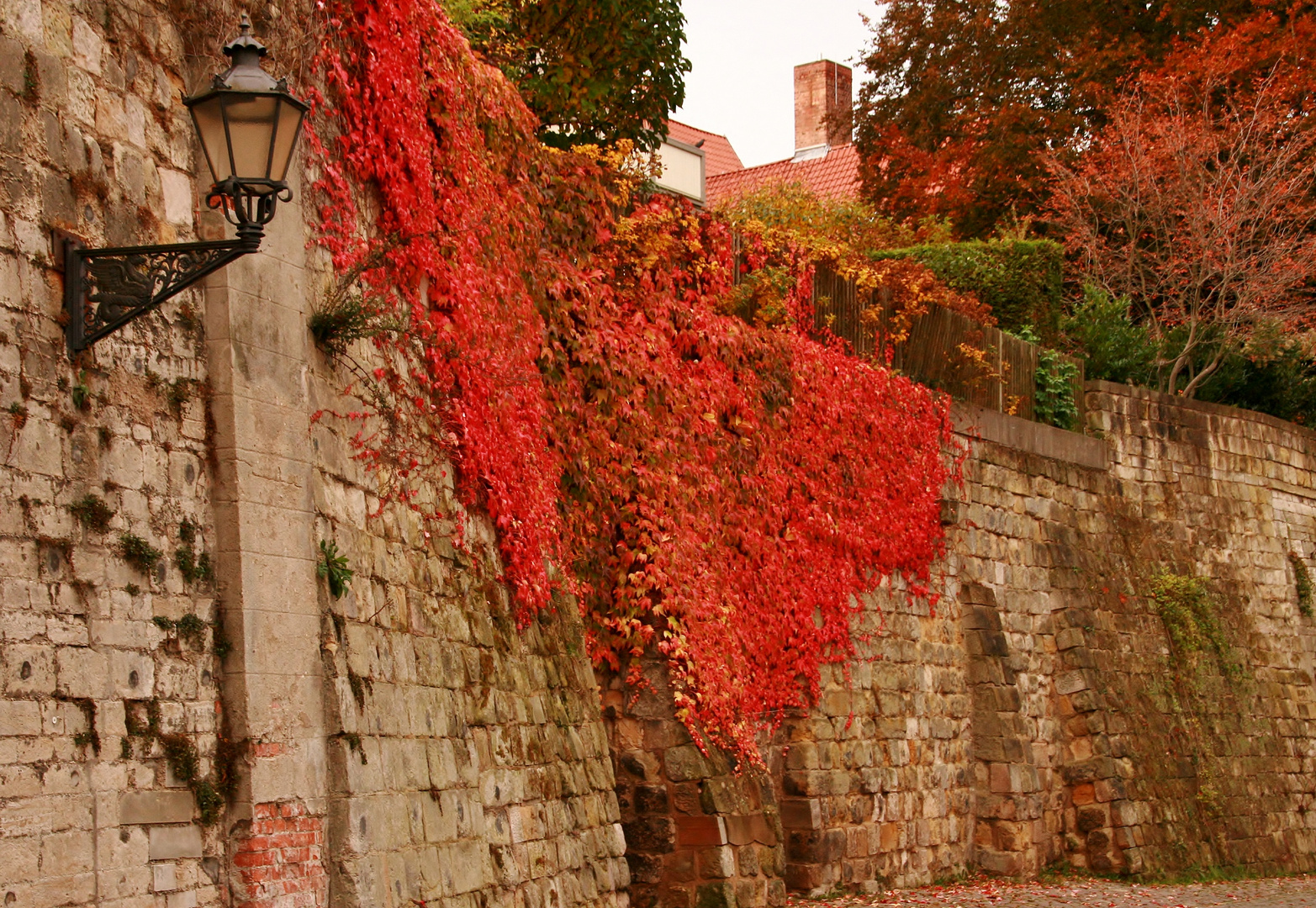 herbstliche Stadtmauer