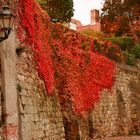 herbstliche Stadtmauer