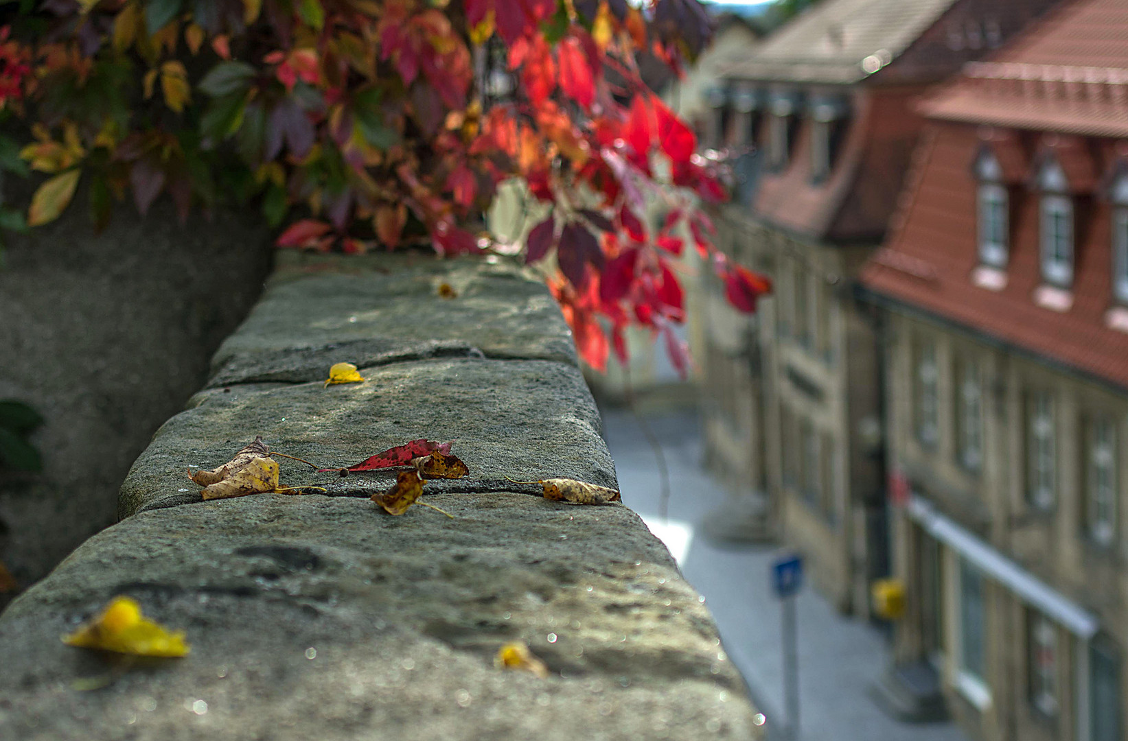 herbstliche Stadtmauer