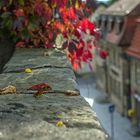 herbstliche Stadtmauer