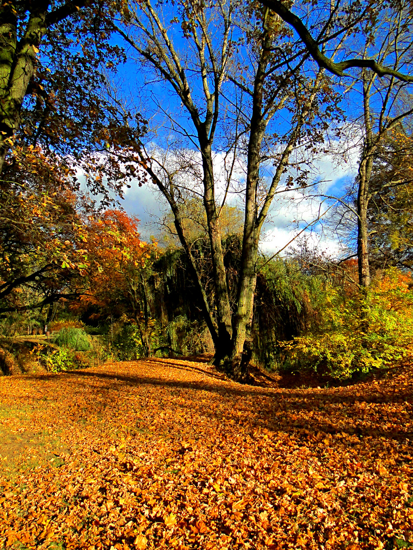 Herbstliche Stadtparkansicht