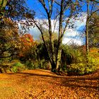 Herbstliche Stadtparkansicht