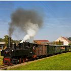 herbstliche Steyrtalbahn(6)