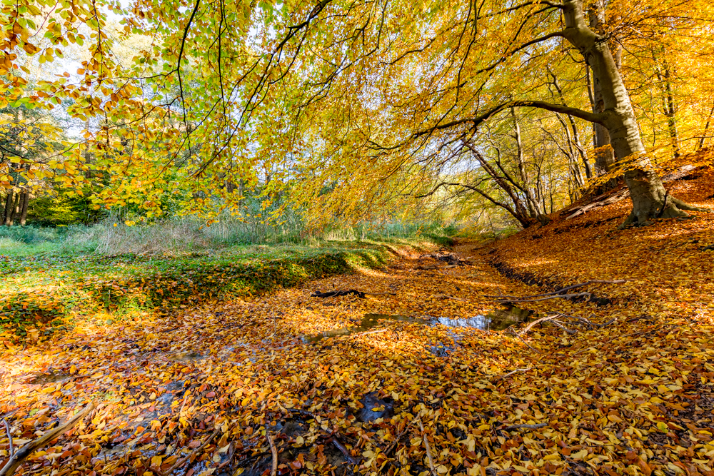 Herbstliche Stille