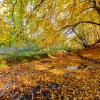 Herbstliche Stille