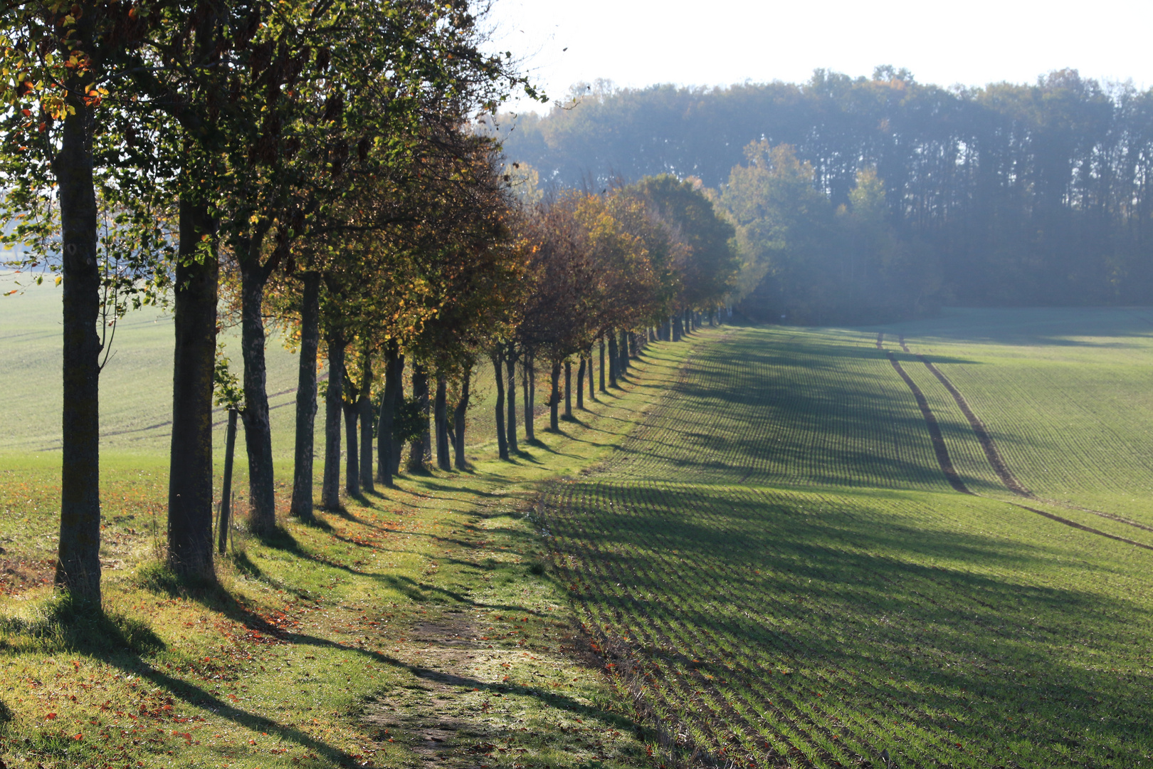 herbstliche Stille