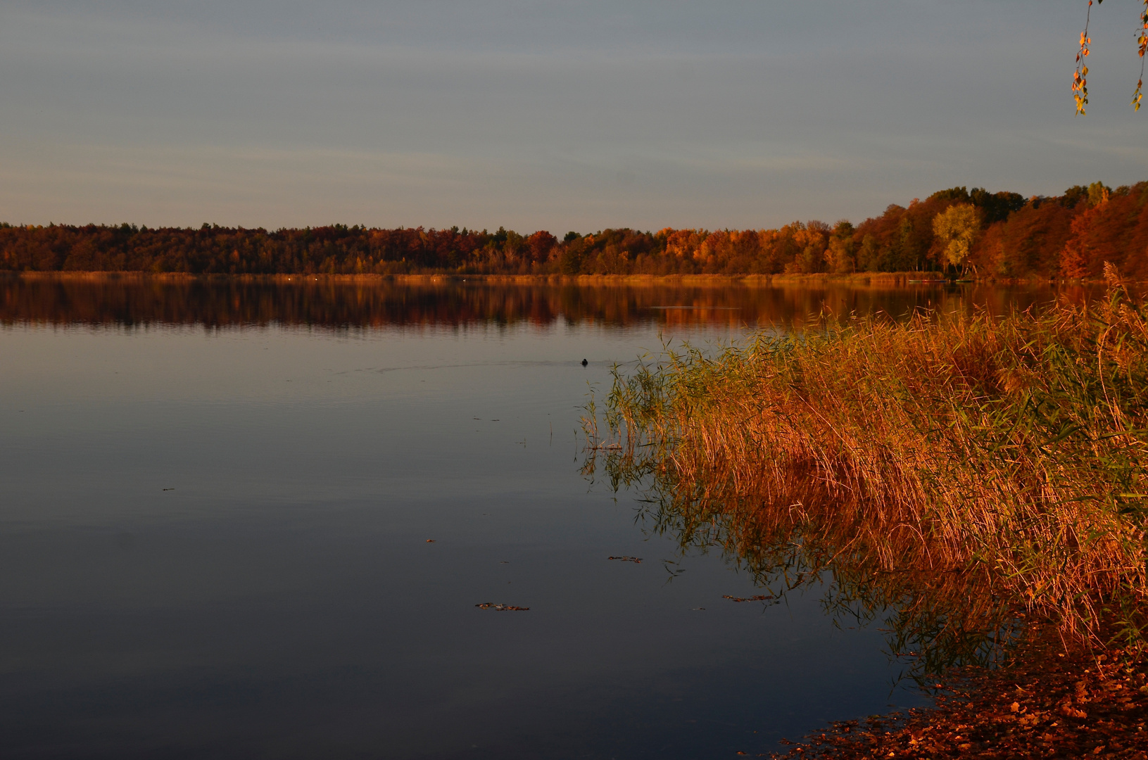 Herbstliche Stille genießen