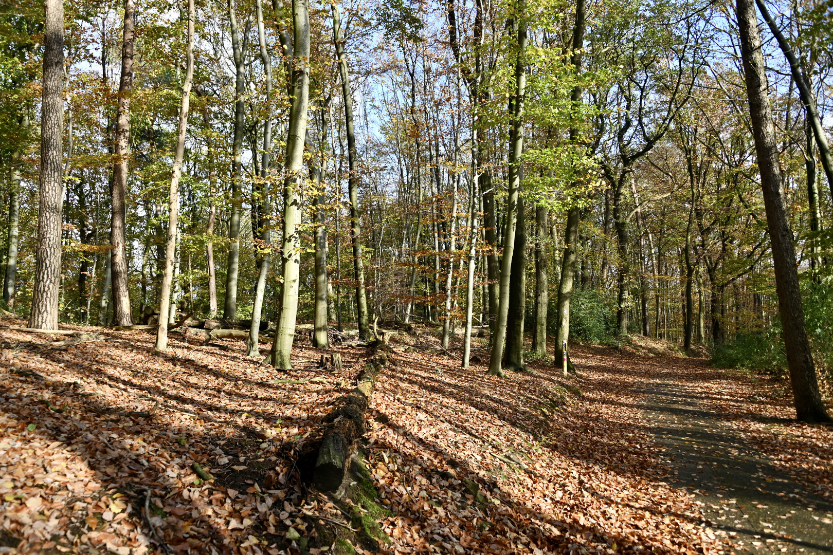 Herbstliche Stille mit Schattenspiel