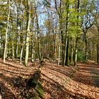 Herbstliche Stille mit Schattenspiel