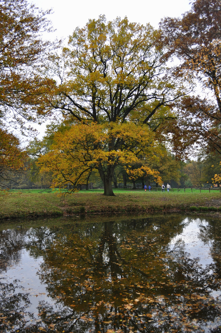 Herbstliche Stimmung...