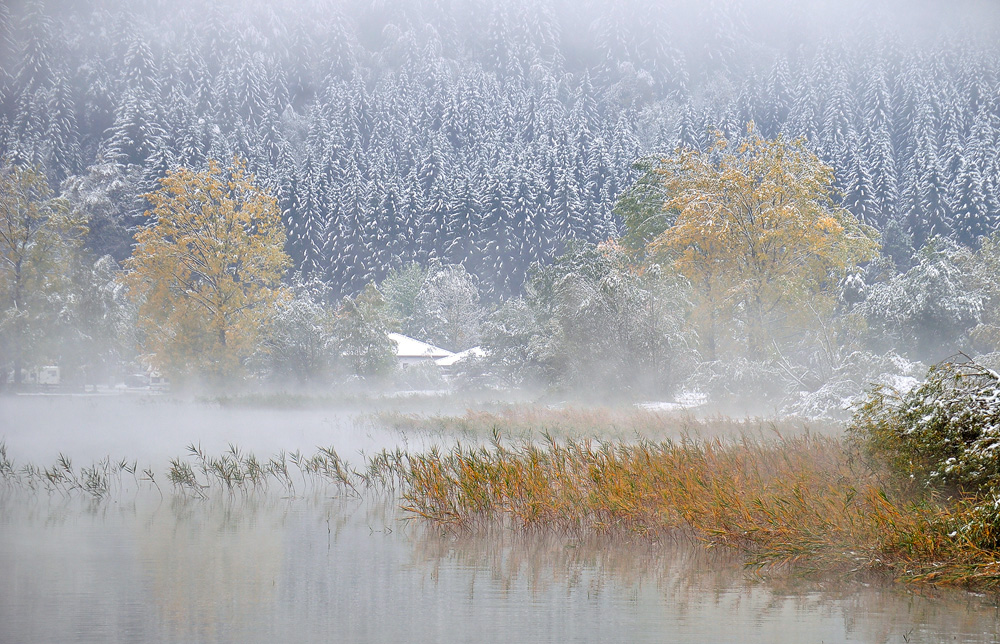 Herbstliche Stimmung (2)