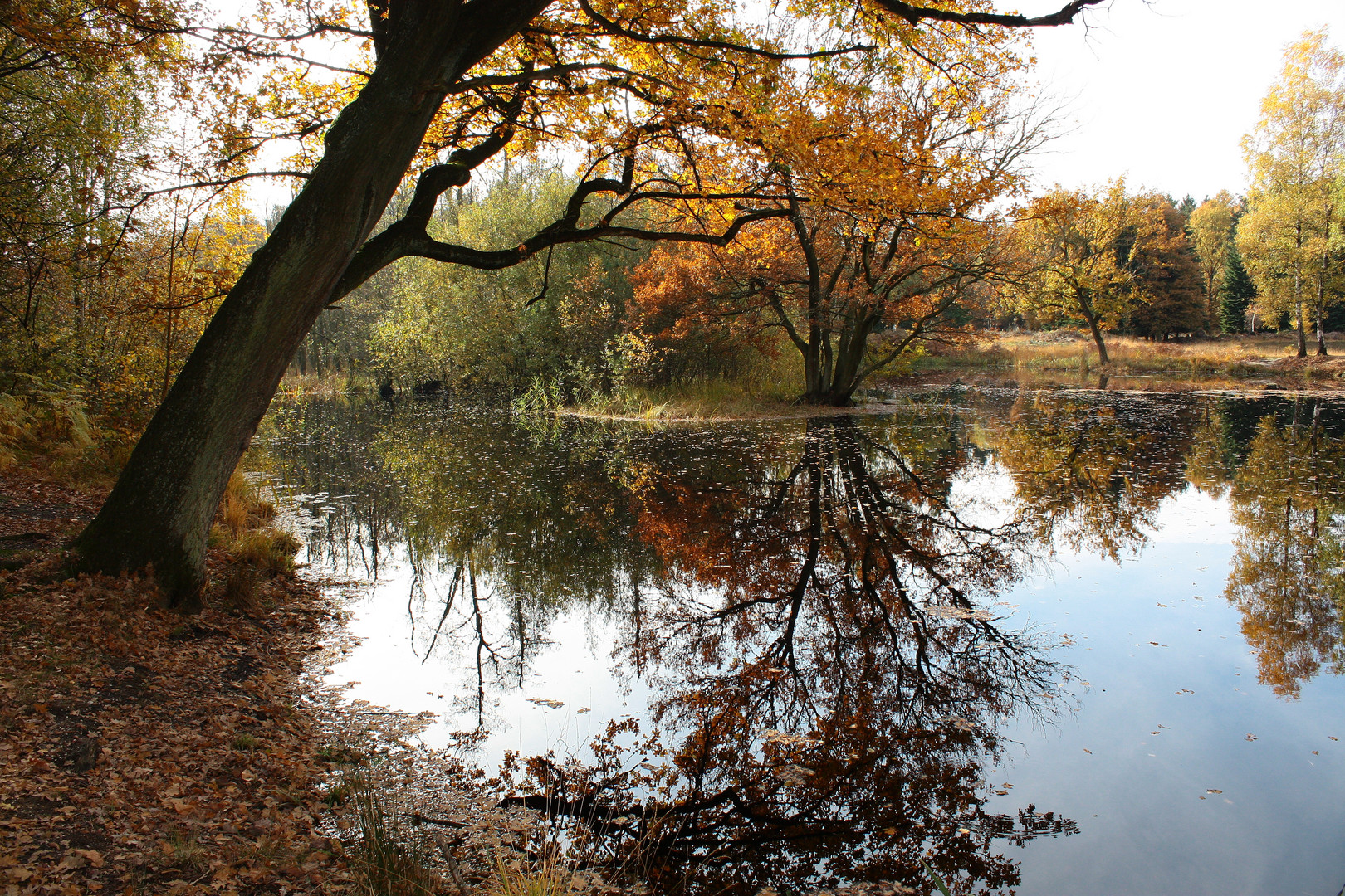 Herbstliche Stimmung