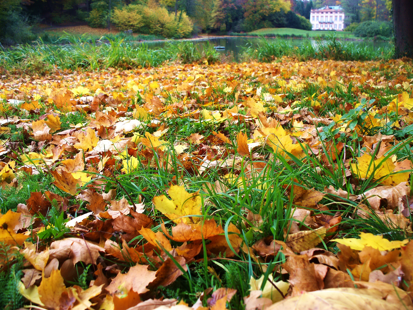 herbstliche Stimmung