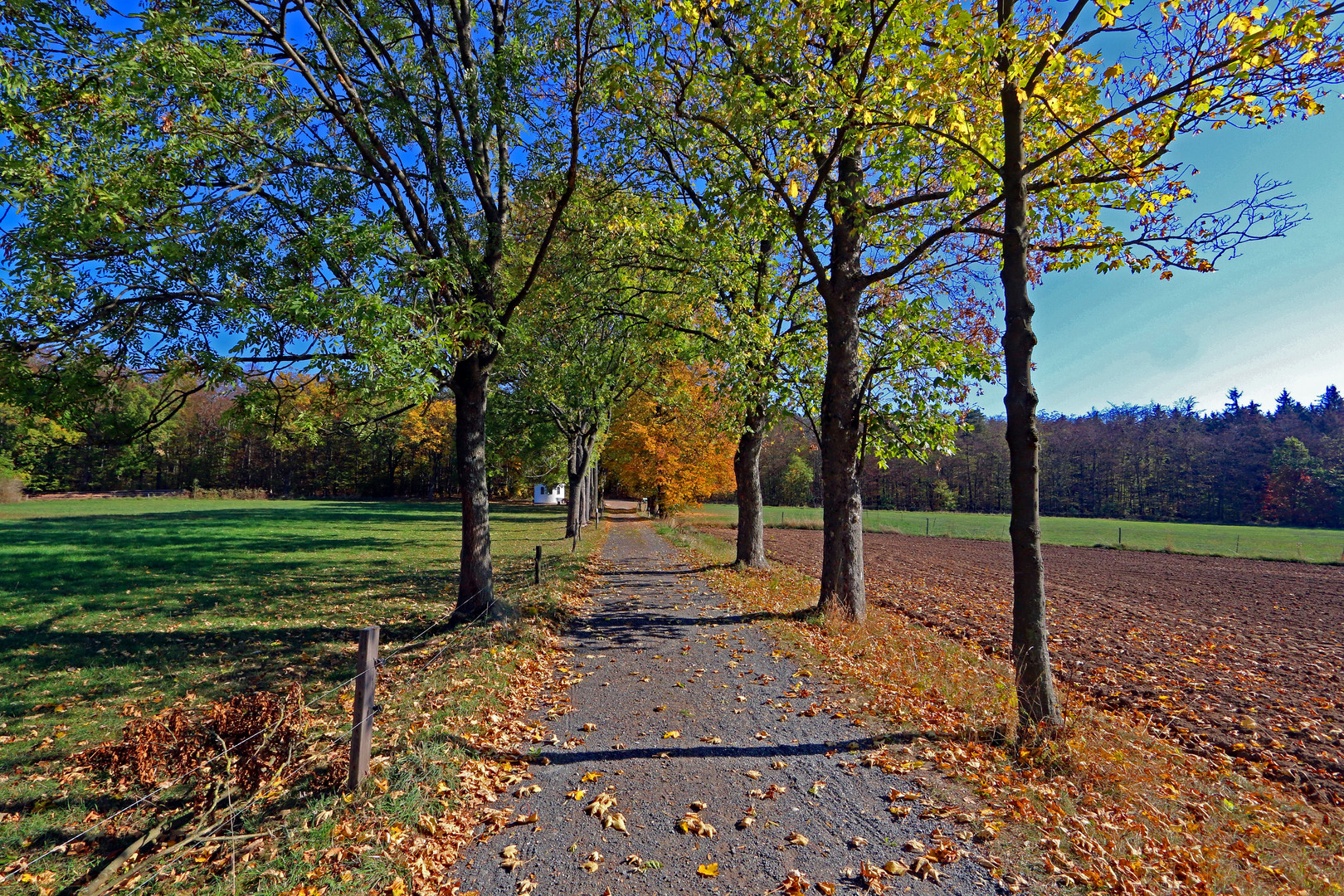 Herbstliche Stimmung