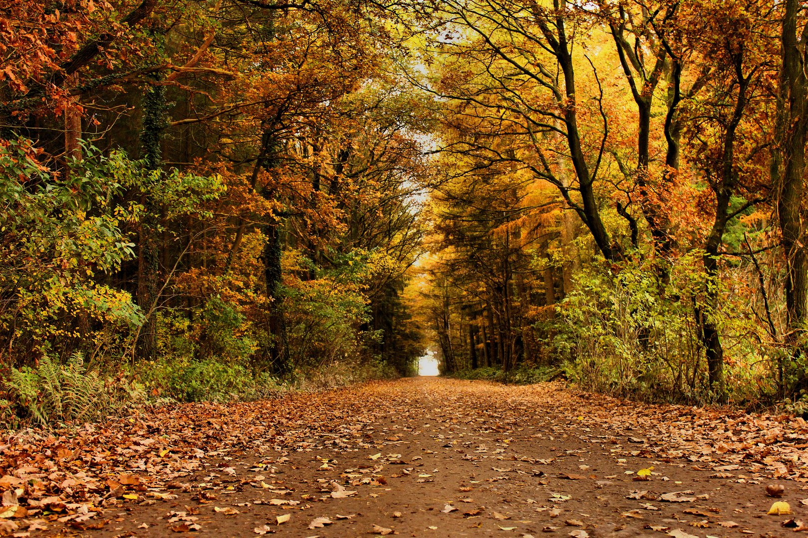 Herbstliche Stimmung