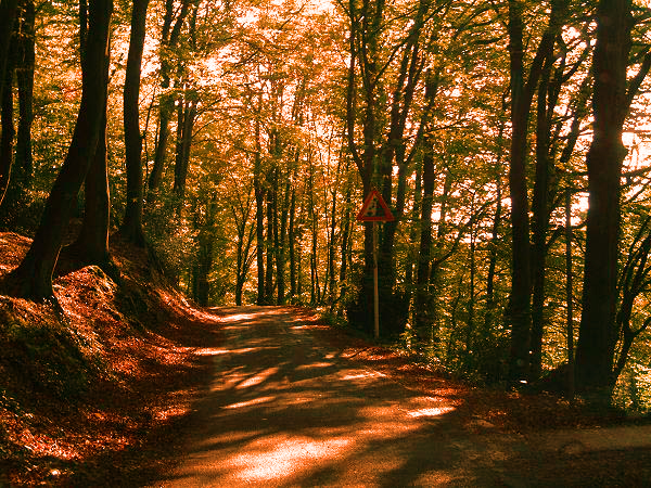 Herbstliche Stimmung.