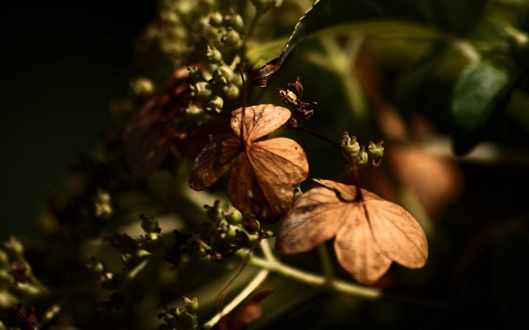 Herbstliche Stimmung