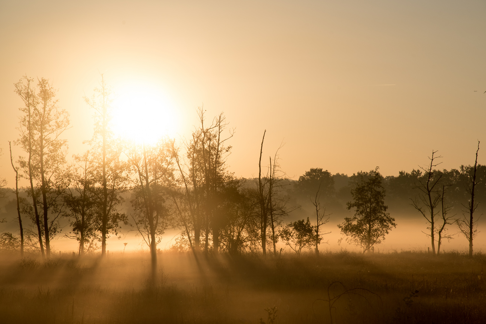 Herbstliche Stimmung