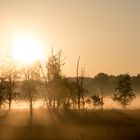 Herbstliche Stimmung