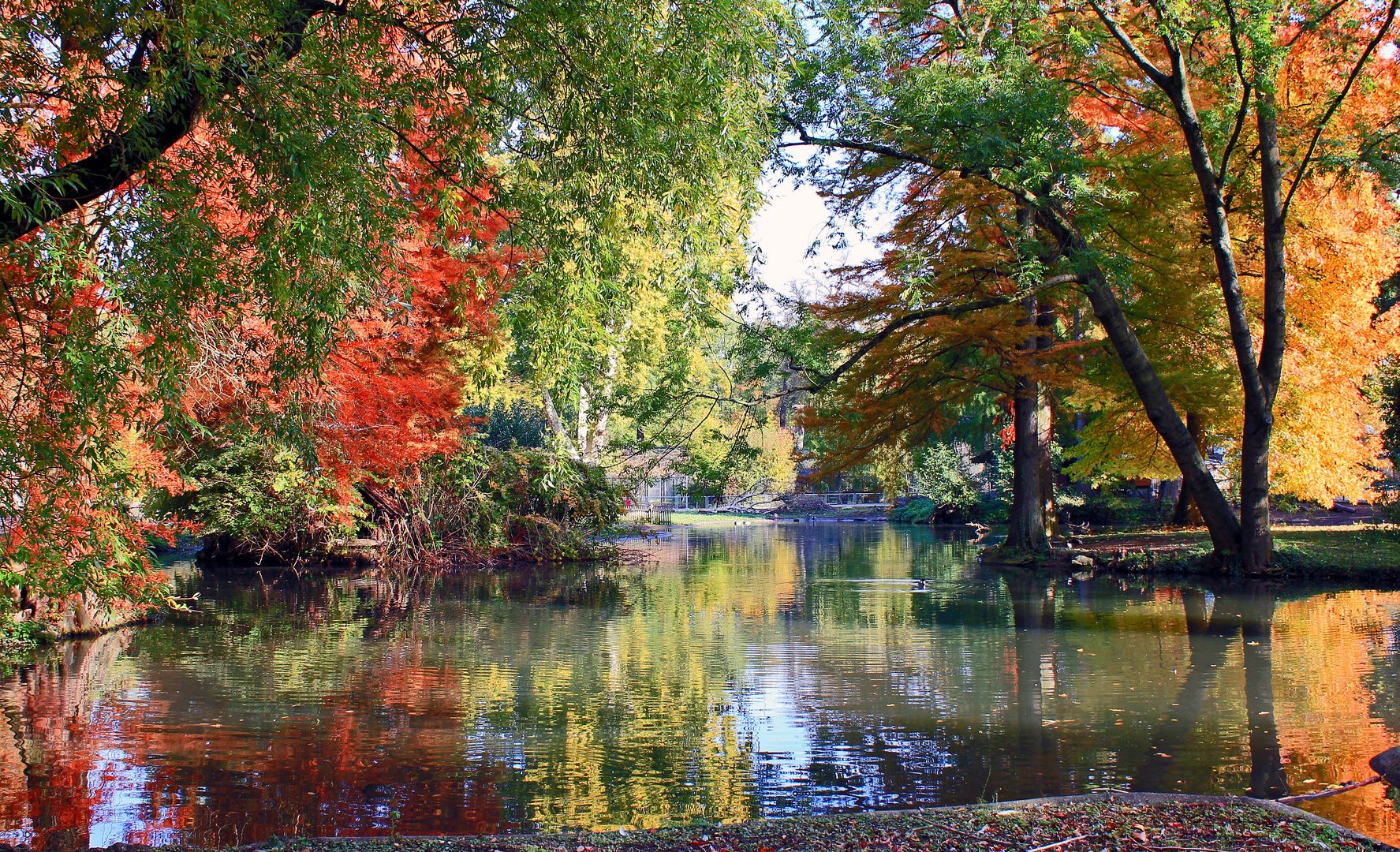 Herbstliche Stimmung