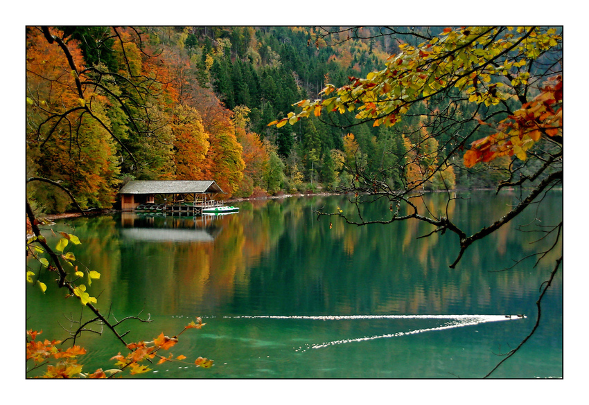 Herbstliche Stimmung am Alpsee