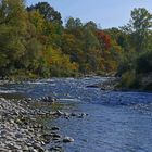 herbstliche Stimmung am Altrhein