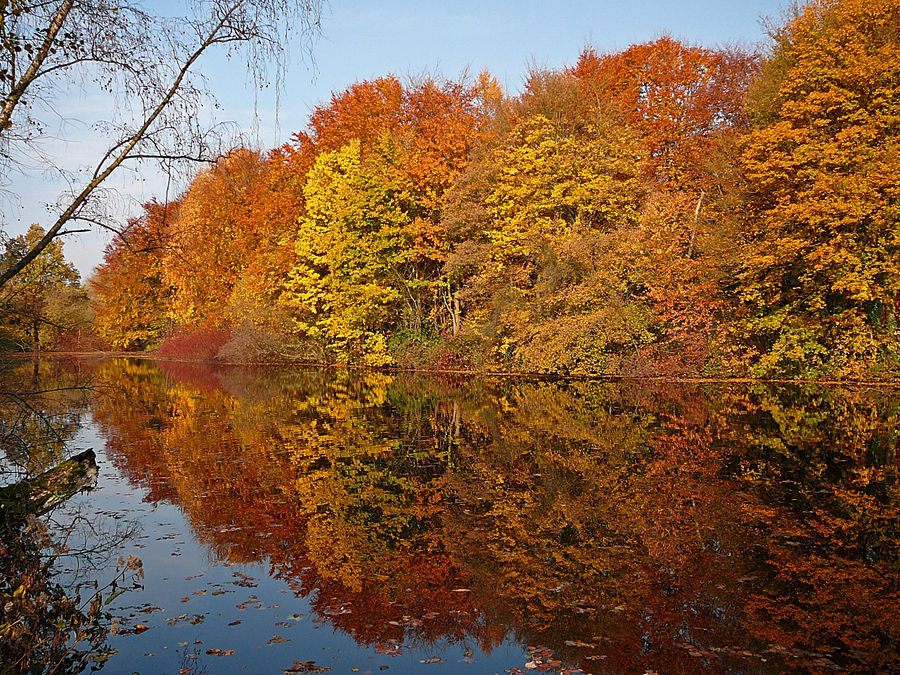 Herbstliche Stimmung am Baldeneysee in Essen