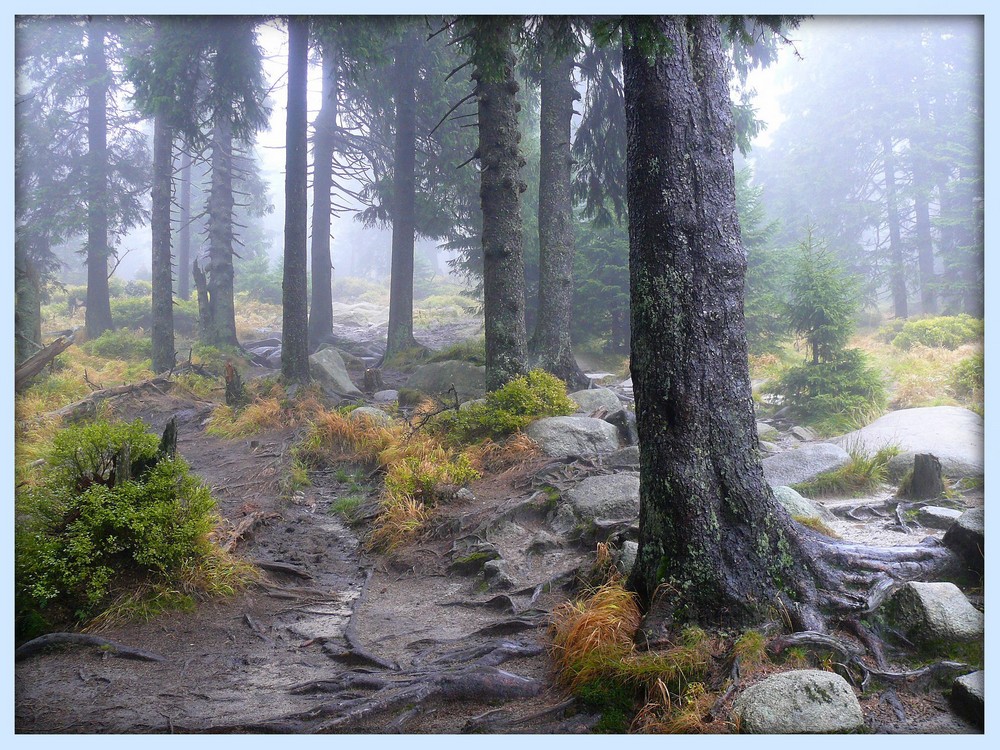 Herbstliche Stimmung am Eckerlochstieg