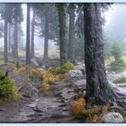 Herbstliche Stimmung am Eckerlochstieg