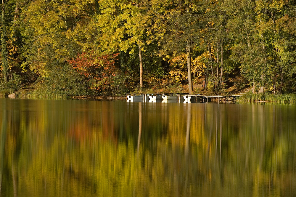 Herbstliche Stimmung am Krummsee / Malente